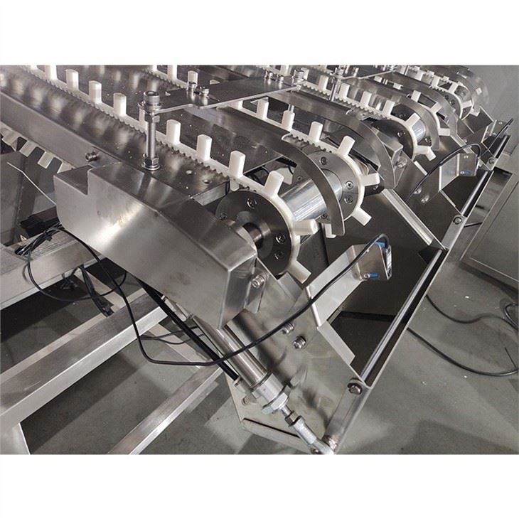 Cracker Sticks Automatic Counting Loading Machine Finger Sticks and Biscuit Sticks Counting Loading Machine custom made wholesale